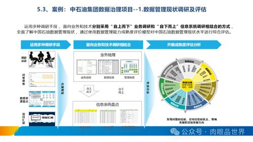 XX集團數(shù)據(jù)治理體系建設(shè)方案 數(shù)據(jù)處理與存儲服務(wù)